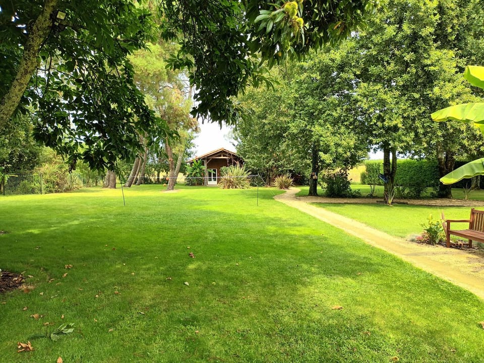 Garden, Garden, Garden view