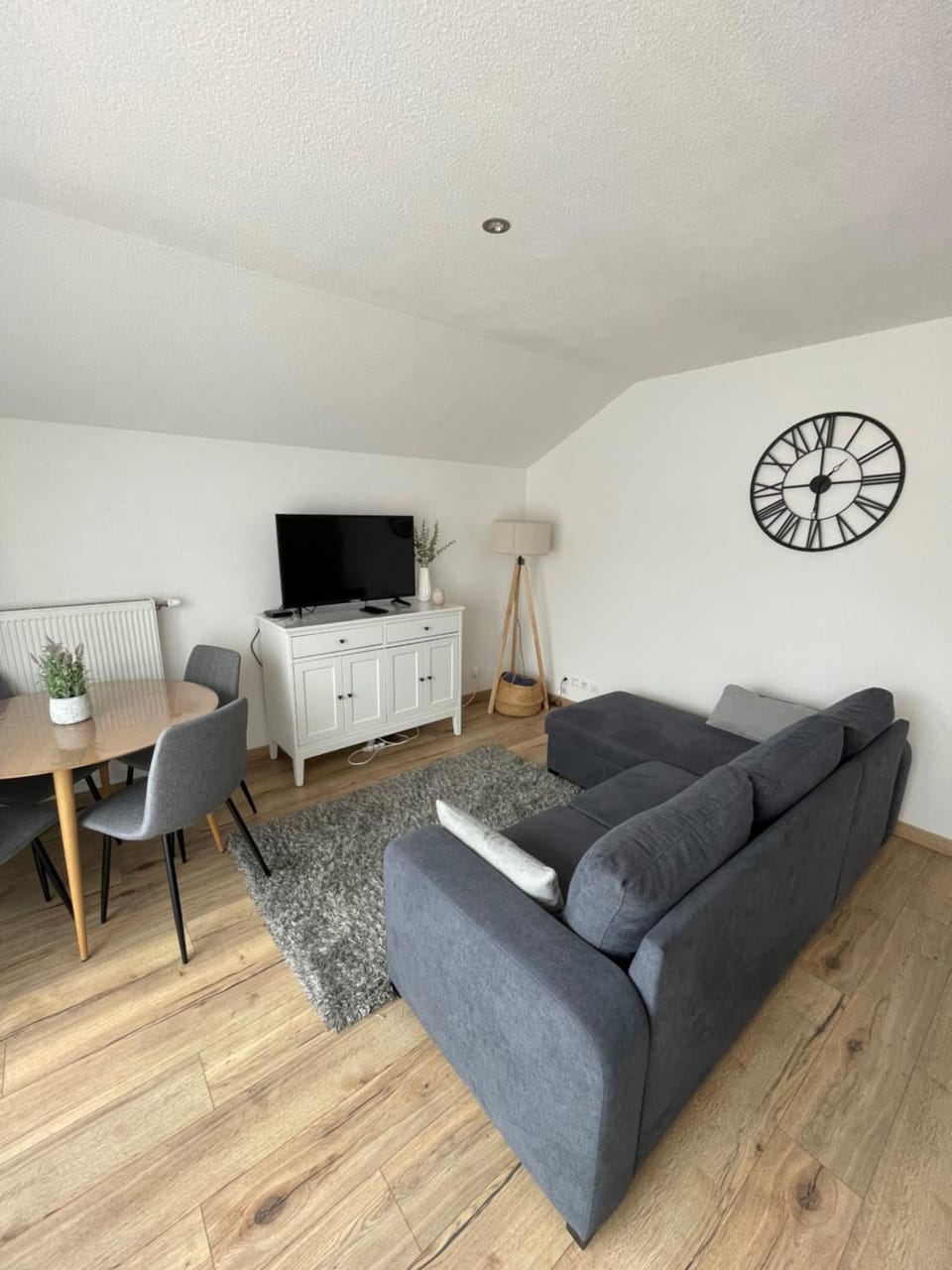 Superbe appartement au calme avec vue sur le Lac. Apartment in Évian-les-Bains