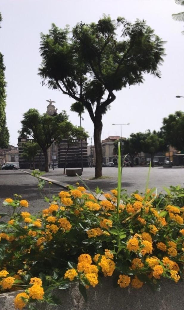 Il Fortino Apartment Apartment in Catania