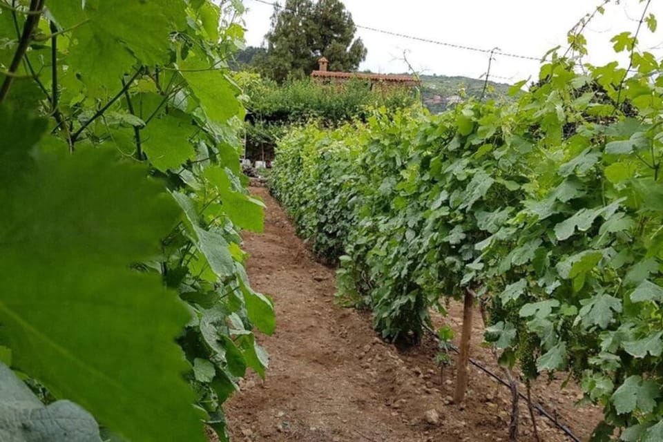 LA TAGORA Conect with the nature & relax Chalet in Canary Islands