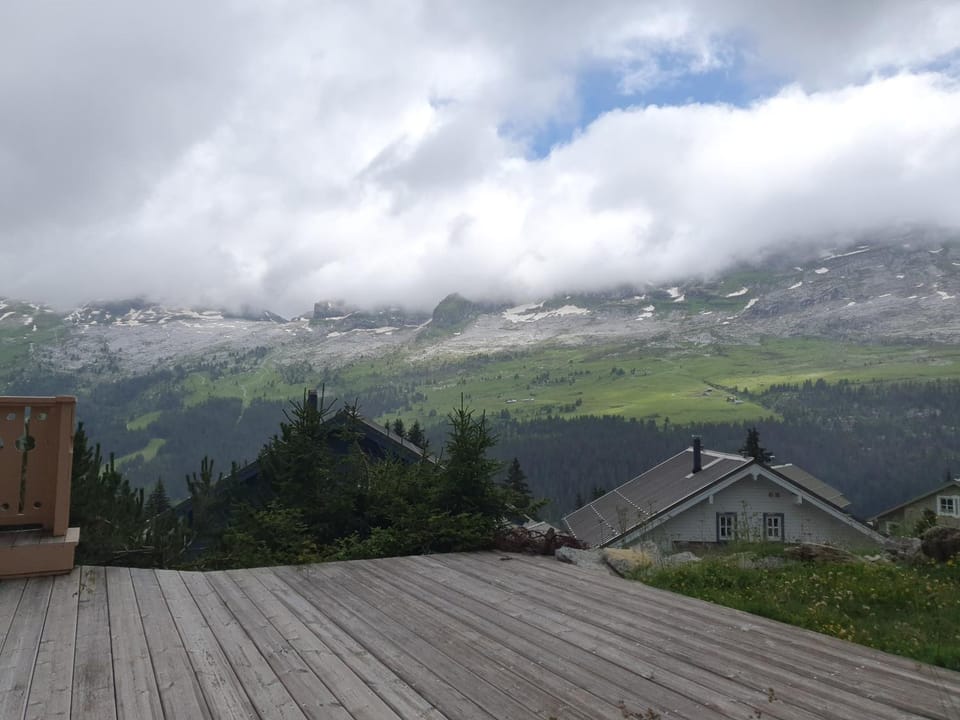Mountain view