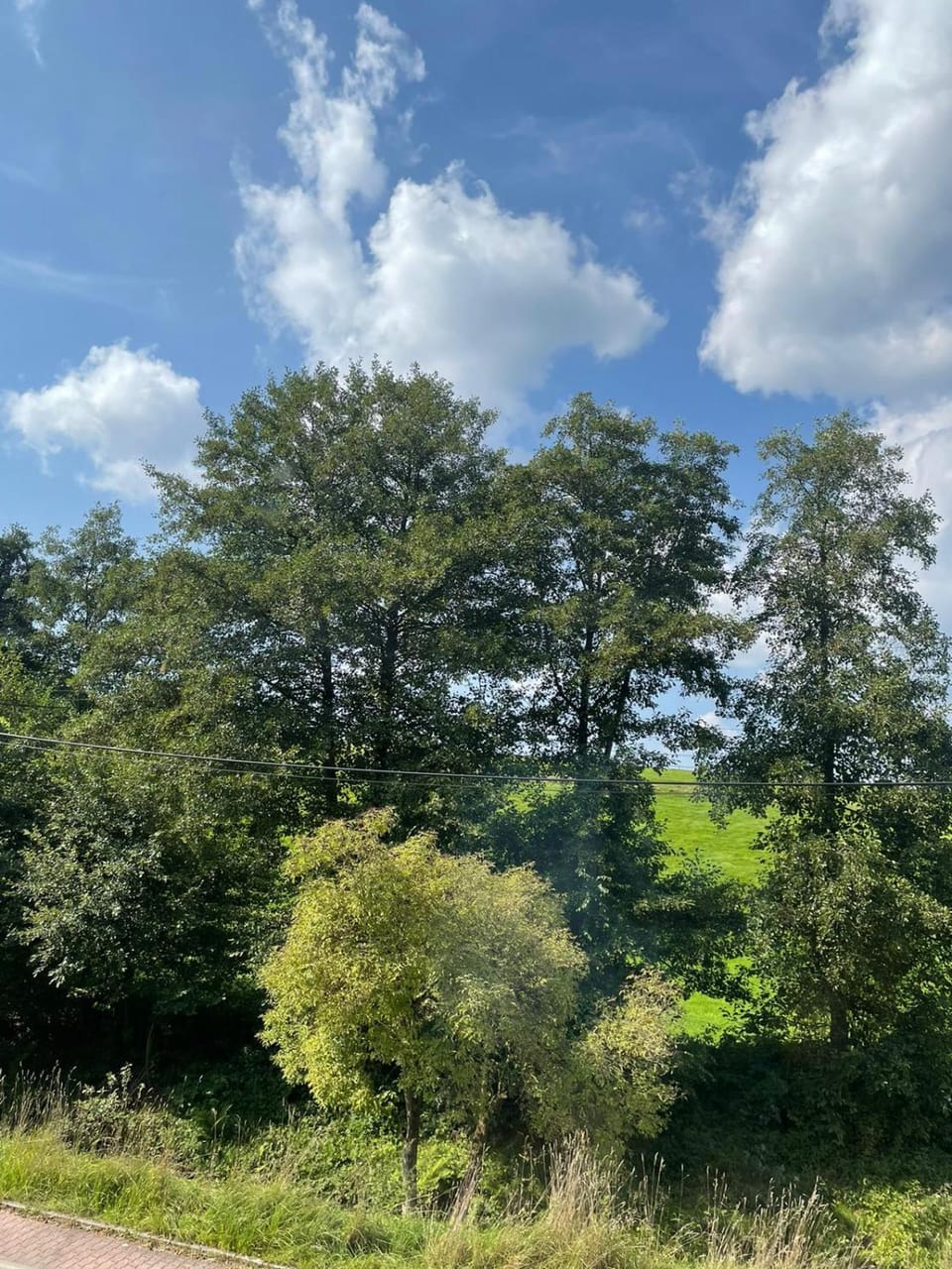 View (from property/room)