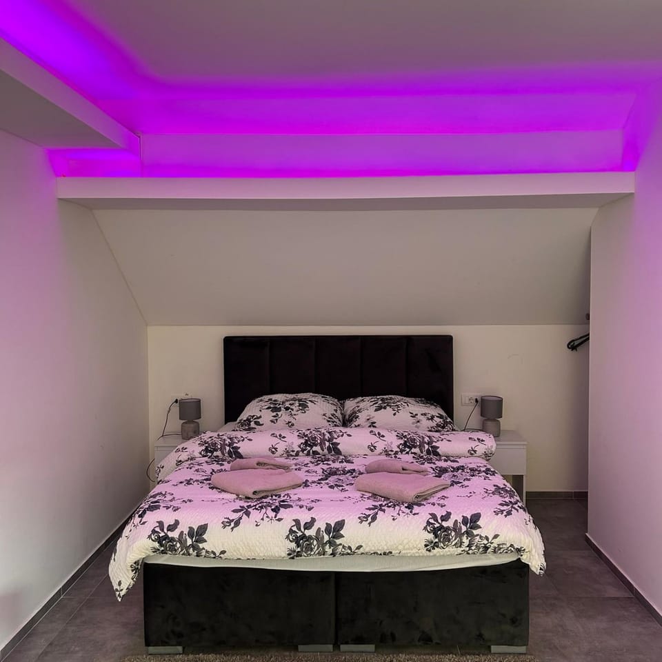 Villa Ronić Apartment in Serbia