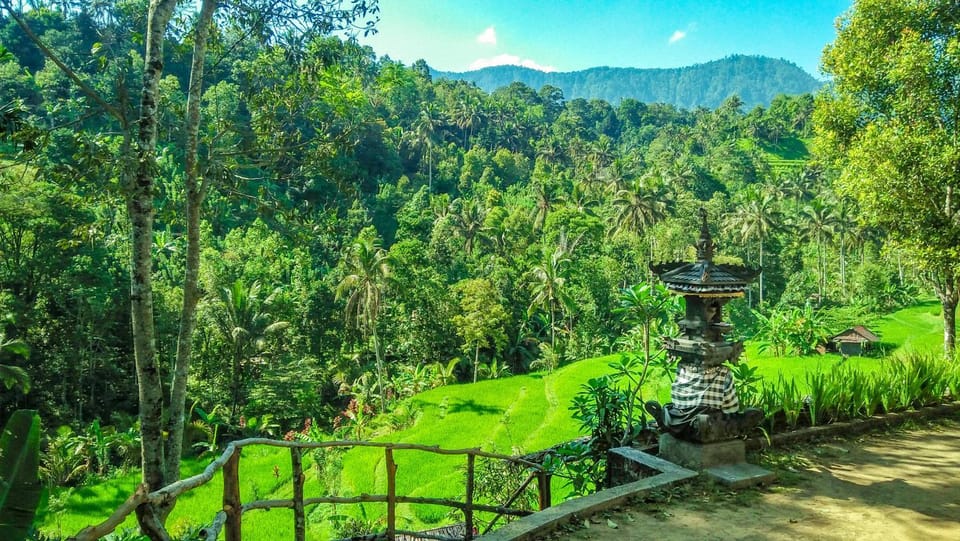 Natural landscape, Garden view