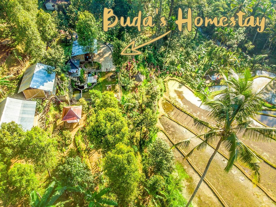 Bird's eye view, Garden view