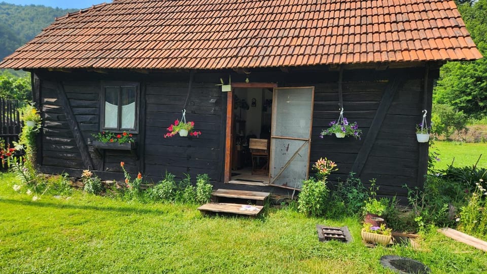 Casa Speranța din Poieni House in Timiș County