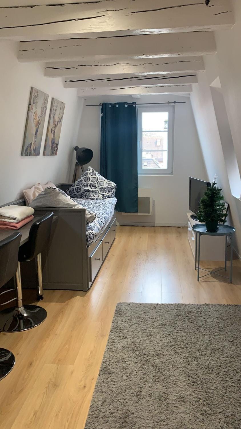Bed, Living room, Photo of the whole room, Seating area, Bedroom