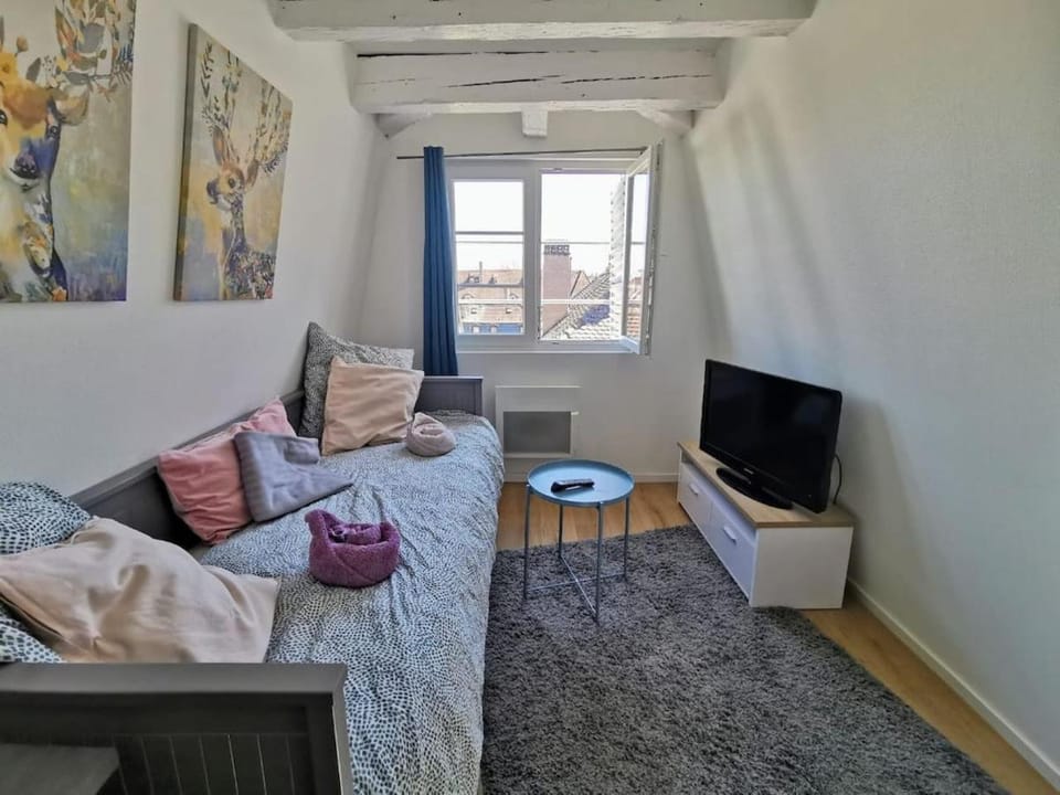 Communal lounge/ TV room, Bed, TV and multimedia, Living room, Photo of the whole room, Seating area, Evening entertainment, Bedroom