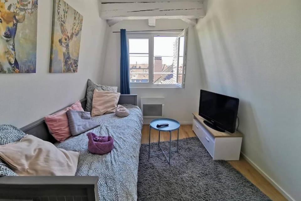 Communal lounge/ TV room, TV and multimedia, Living room, Seating area