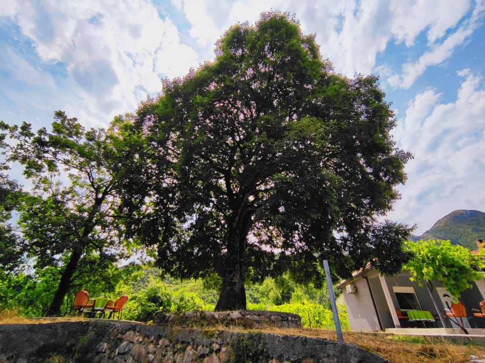 Property building, Garden, Parking