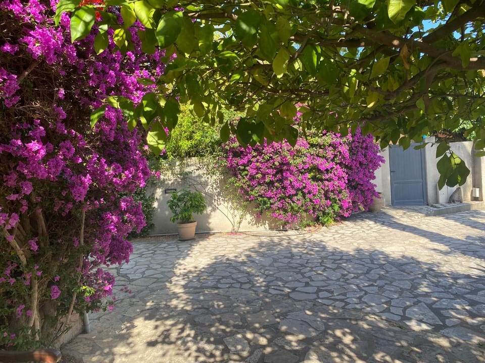 Villa Mas Catalan Piscine privée 15 couchages Villa in Argeles-sur-Mer