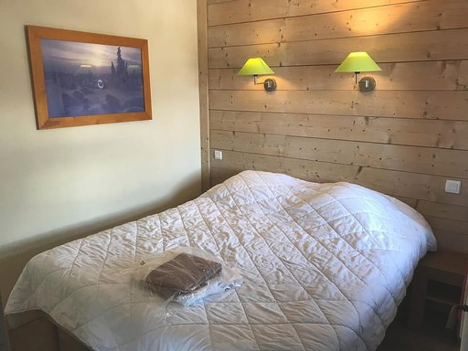 Chalet centre La Tania, skis aux pieds, parking et animaux admis - FR-1-513-78 Apartment in Les Allues
