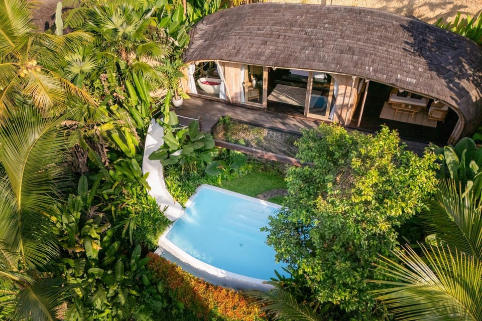 Property building, Spring, Day, Natural landscape, Garden, Garden view, Pool view, Swimming pool