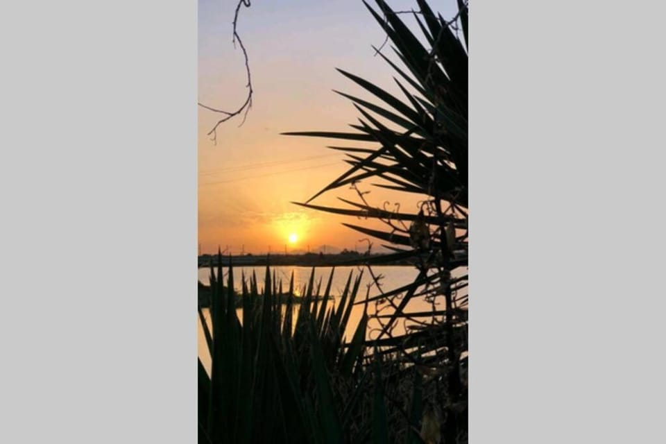 Natural landscape