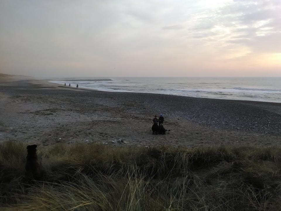 Natural landscape, Beach, Hiking