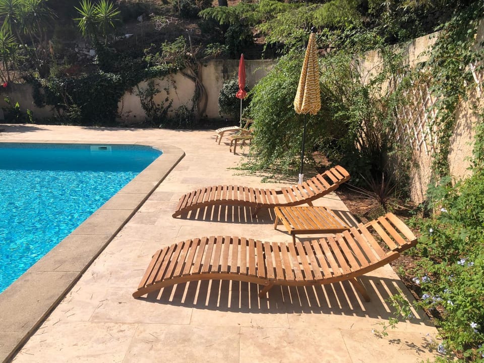 Day, Garden, Swimming pool, Swimming pool, sunbed
