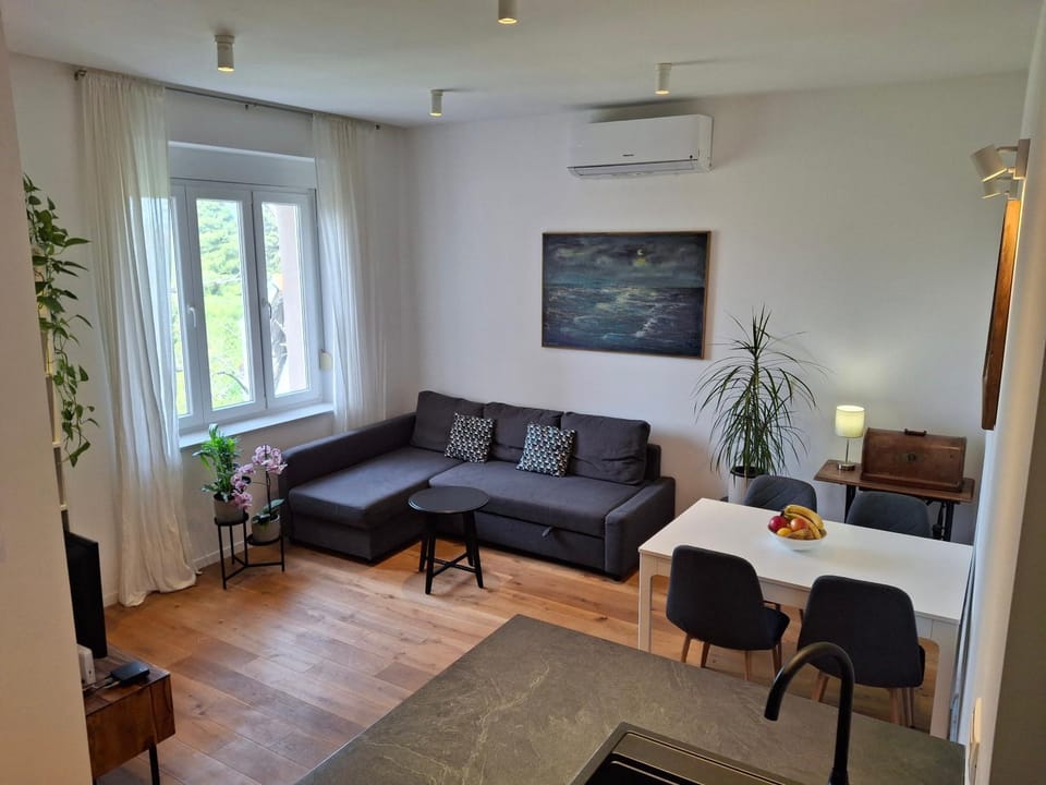 Living room, Seating area, Dining area, air conditioner