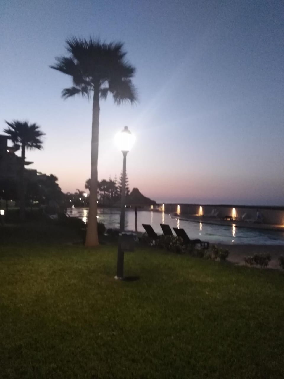 Garden, Sunset