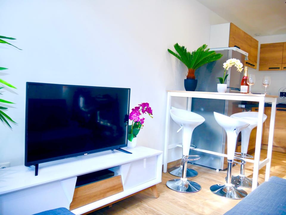 Communal lounge/ TV room, TV and multimedia