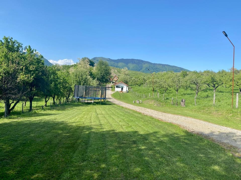 Natural landscape, Garden