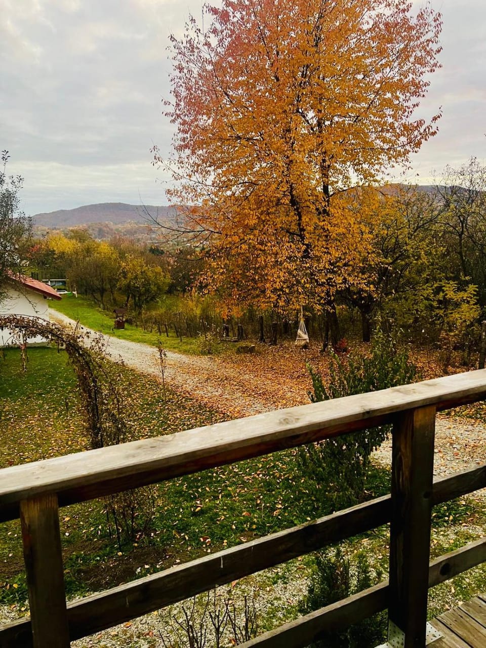 Natural landscape