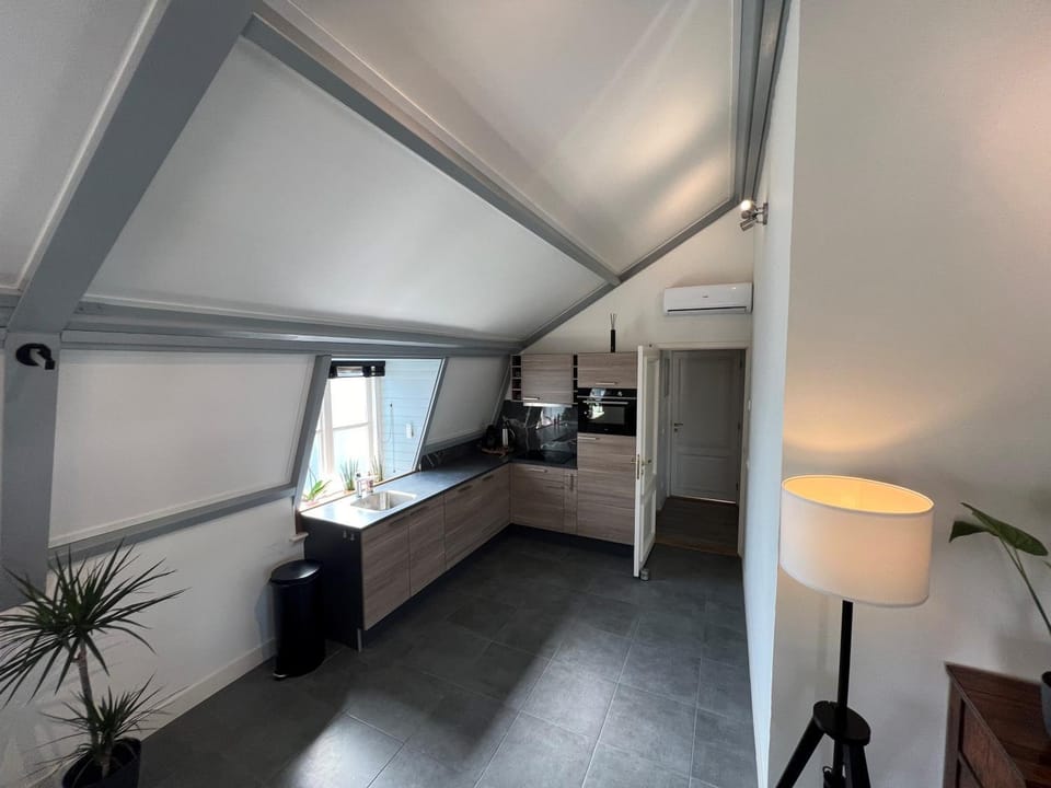 Coffee/tea facilities, Kitchen or kitchenette, dishwasher, heating, oven, stove, kitchen, kitchen, air conditioner