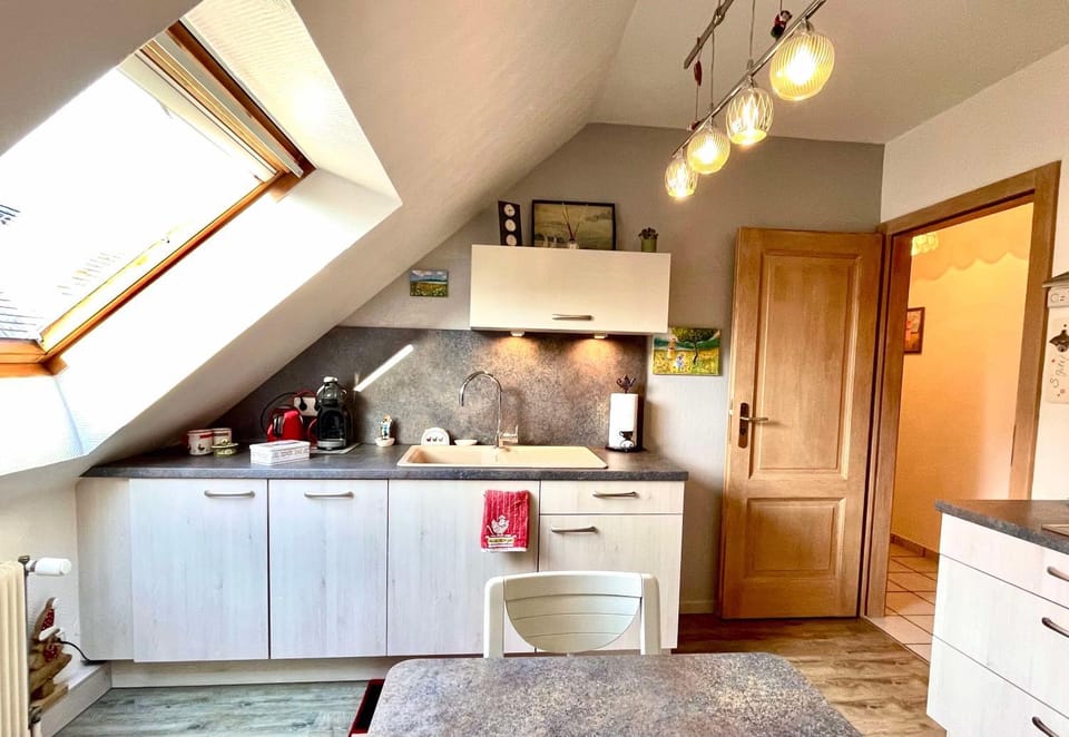 Kitchen or kitchenette, pet friendly