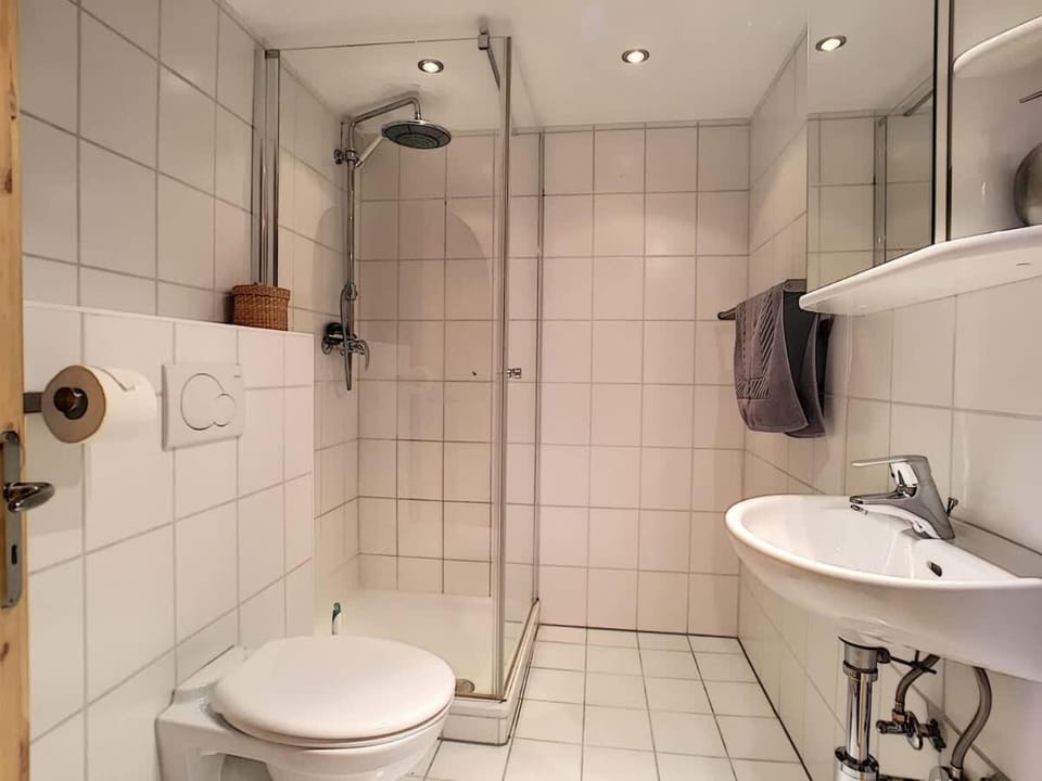 Zigomar rez Apartment in Bagnes