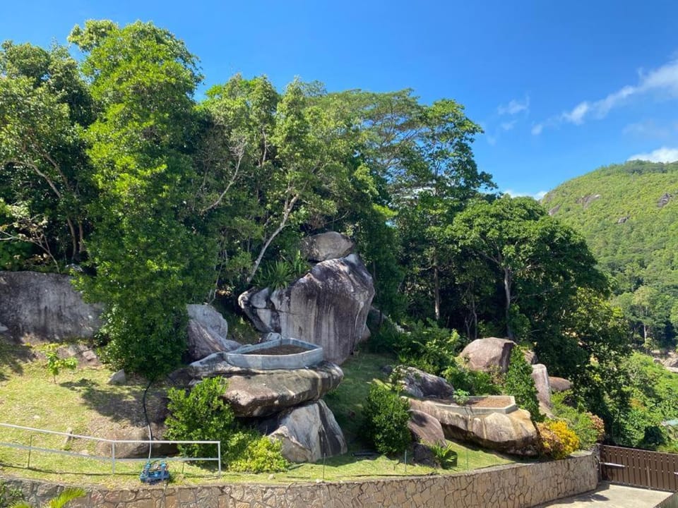 View (from property/room)