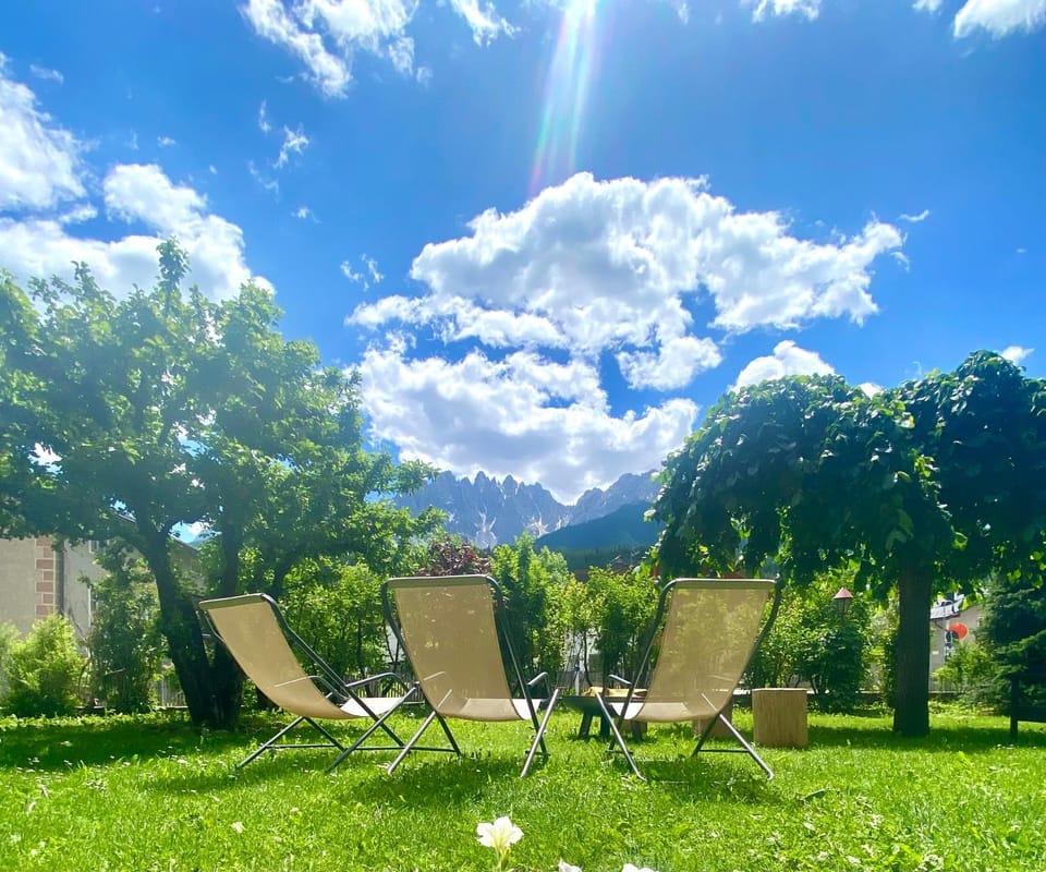 Garden, Garden view, sunbed
