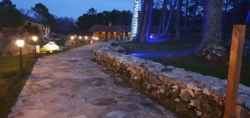 Night, Garden view