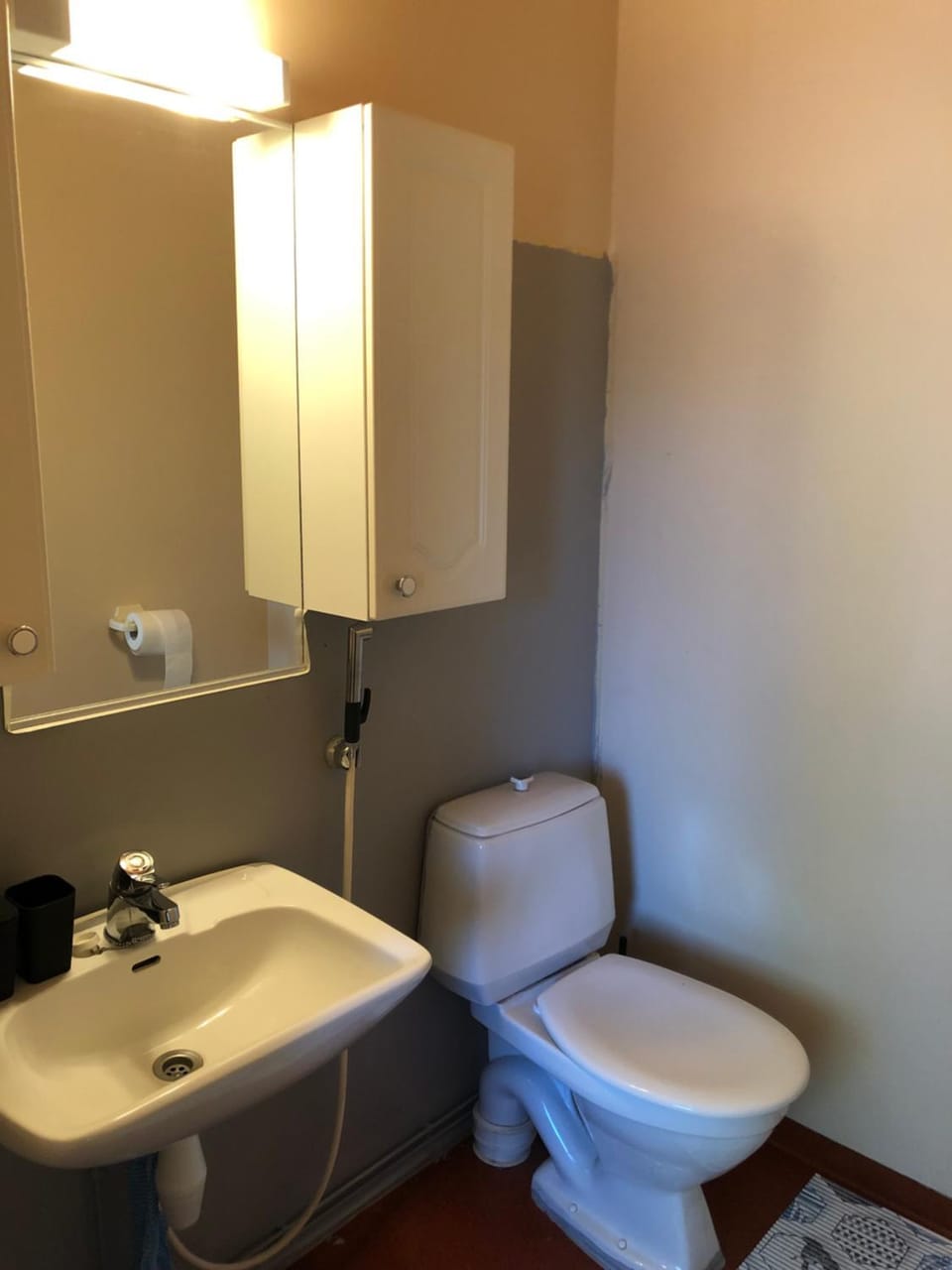 Toilet