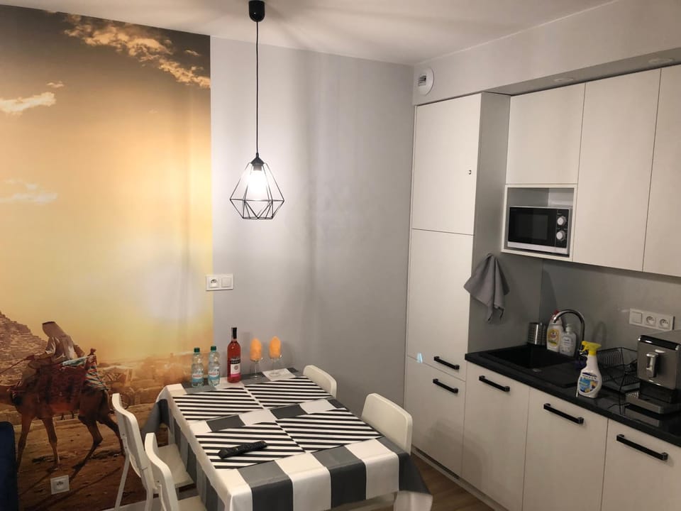 Klimatyzowany Apartament EGIPT z sauną i miejscem parkingowym Apartment in Poland