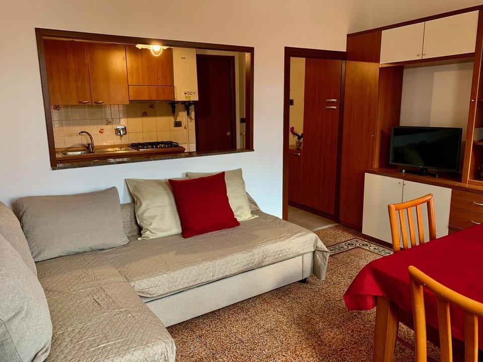 Living room, kitchen