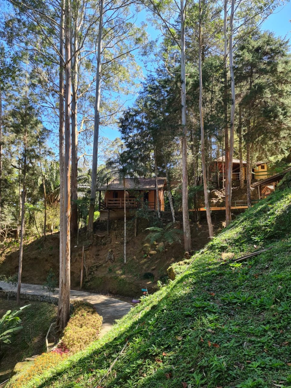 Natural landscape, Garden