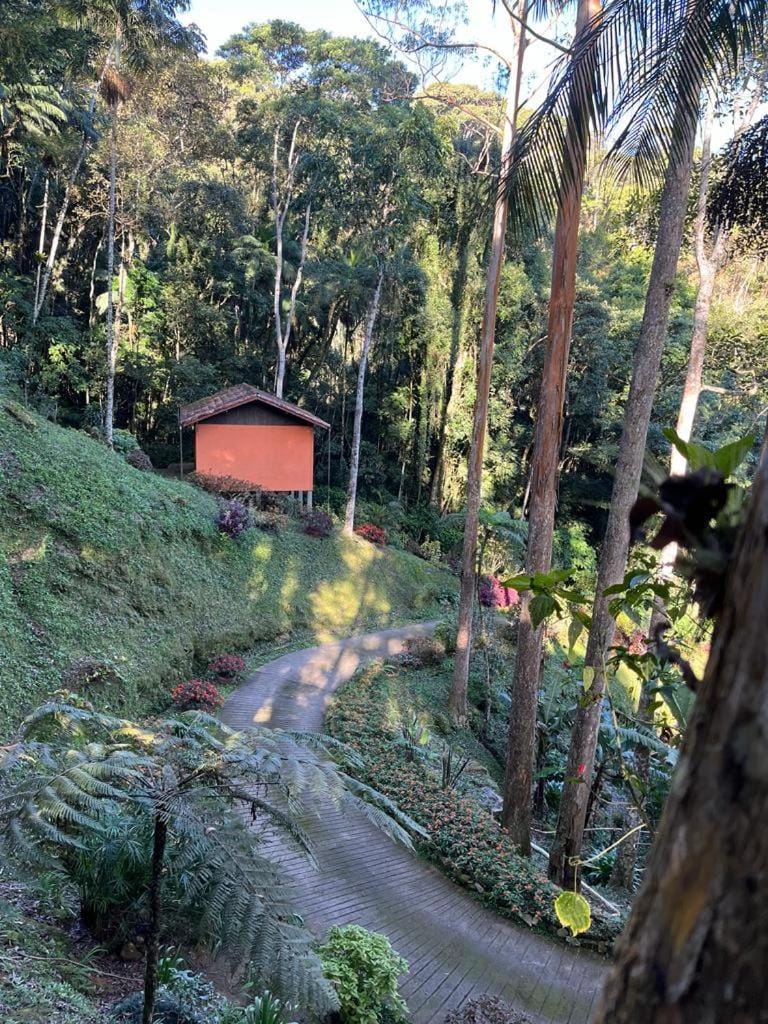 Day, Garden, Garden view