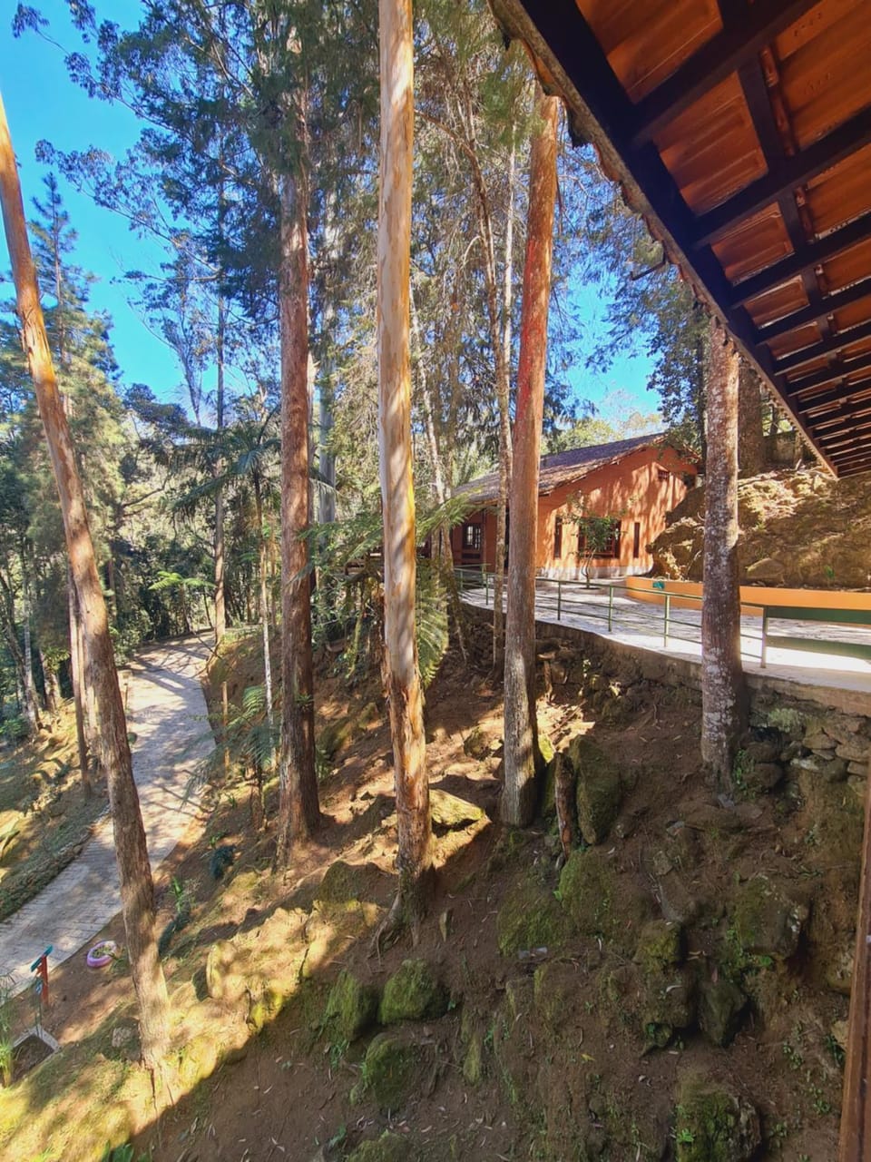 Restaurant/places to eat, Garden