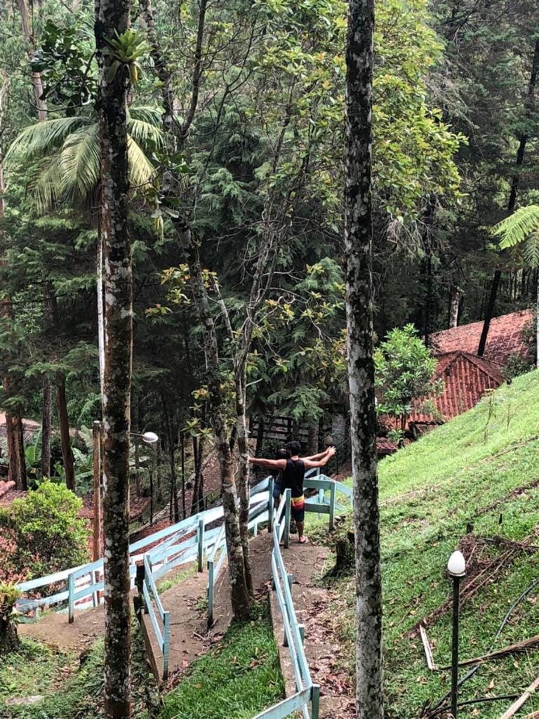 Garden, View (from property/room)