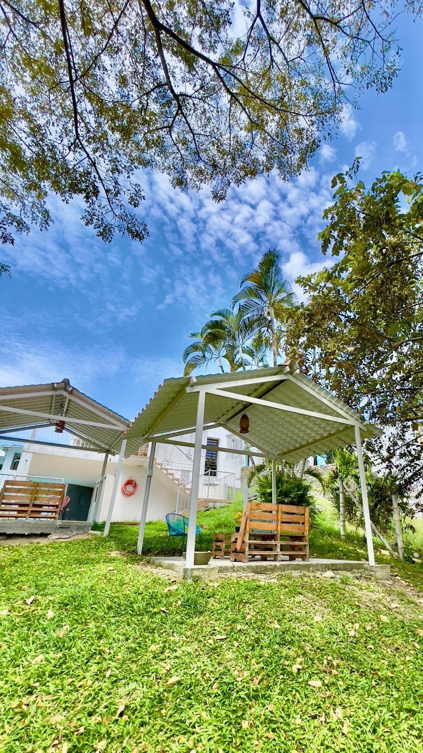 Property building, Natural landscape, Garden, Garden view