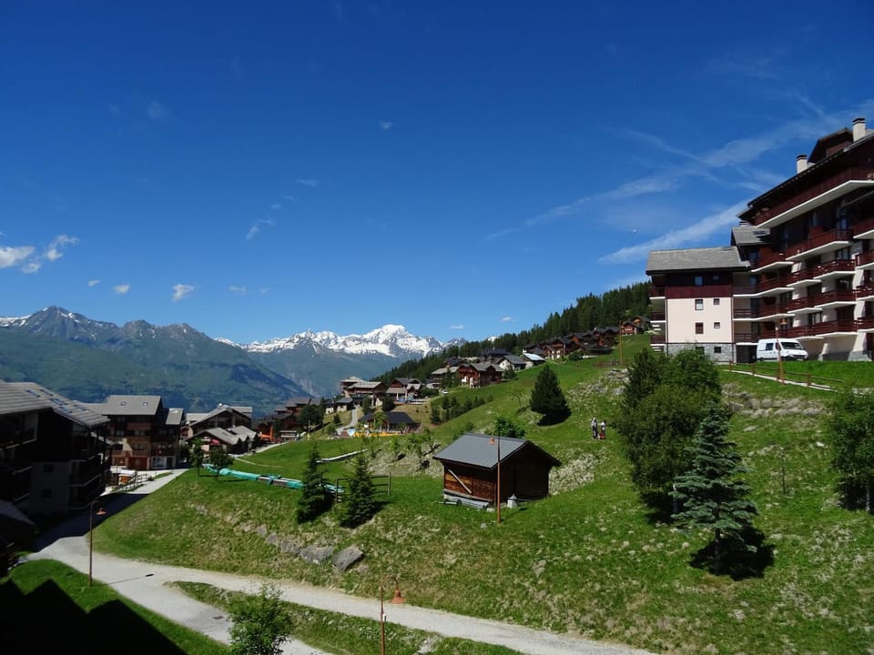 Triplex 7 pers à Vallandry proche pistes, animaux admis - FR-1-411-691 Apartment in Landry