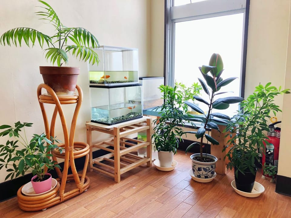 Otaru Garden Stay Bed and Breakfast in Hokkaido Prefecture