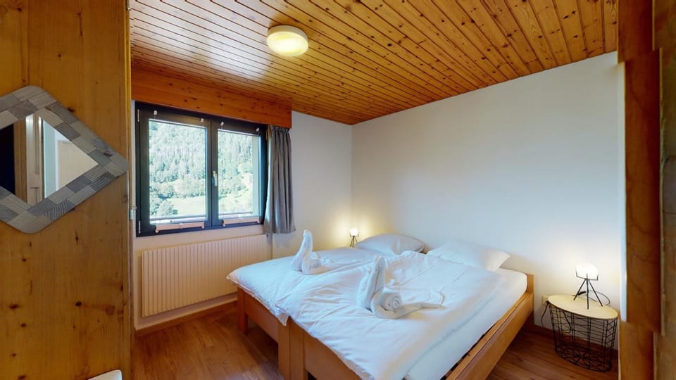 Aletsch Arena - modern and bright 2 bedroom apartment Apartment in Canton of Valais