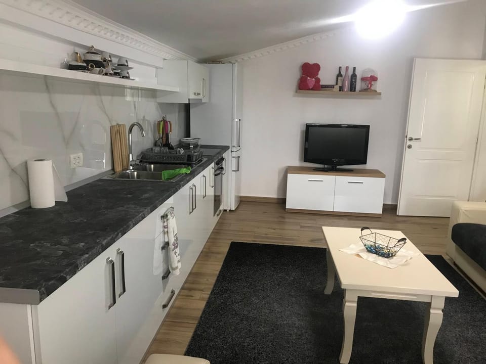 Flat Elbasan city center 4 Apartment in Tirana County, Albania