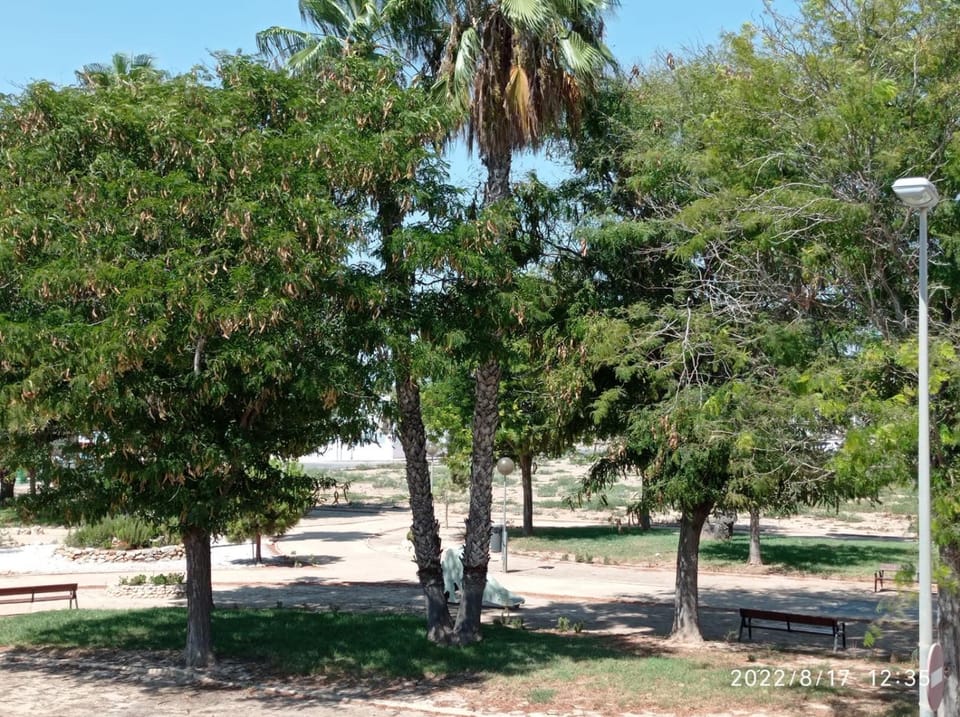 Natural landscape