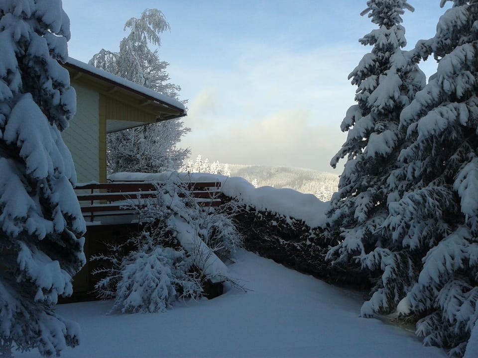 Property building, Winter