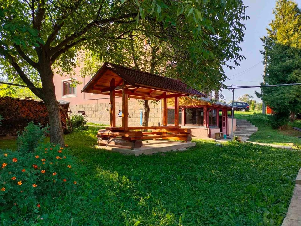Patio, Garden
