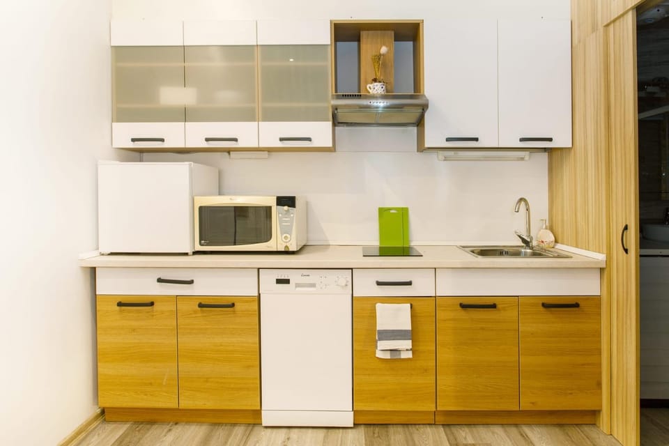 Cozy studio in the center for 2 people Apartment in Budapest