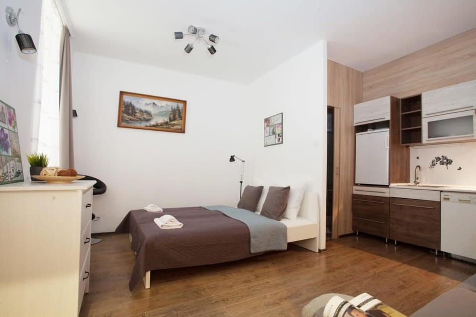 Very central, comfy studio Apartment in Budapest