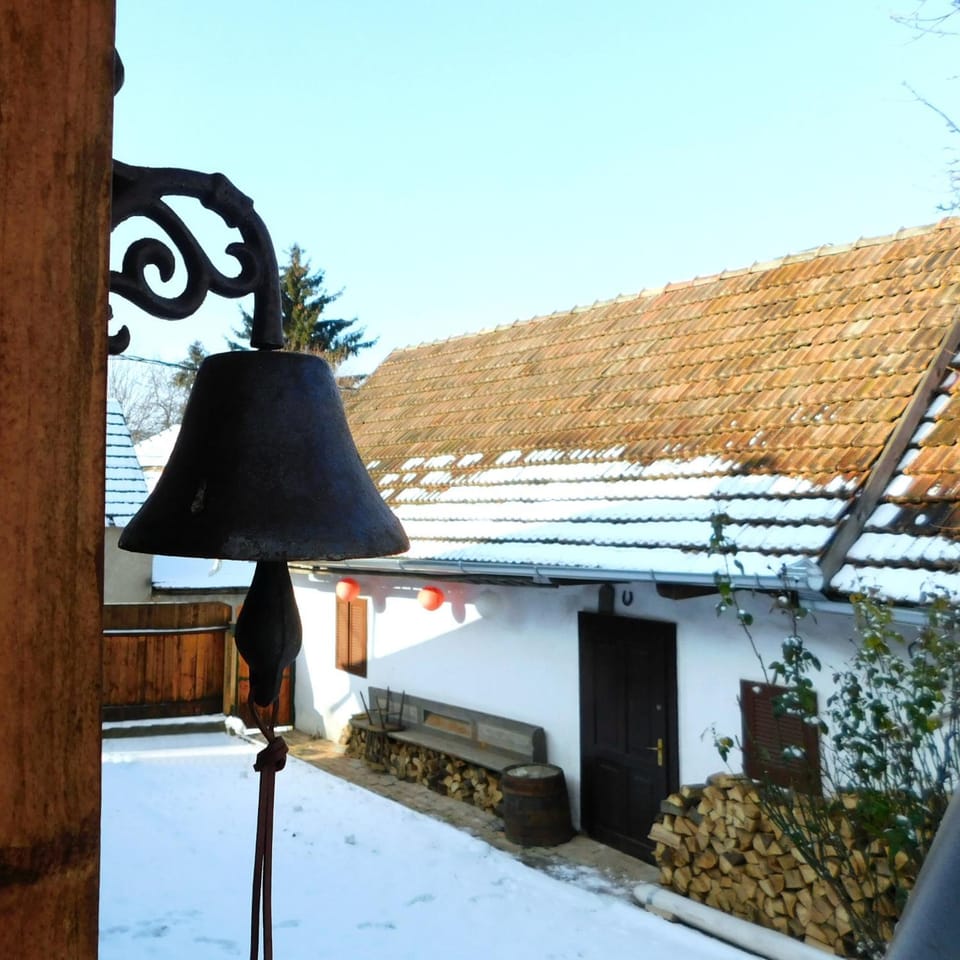 Winter, Garden
