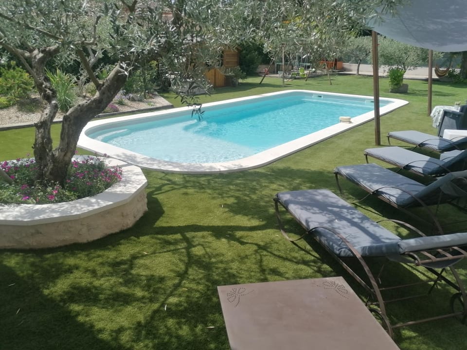 Garden, Swimming pool